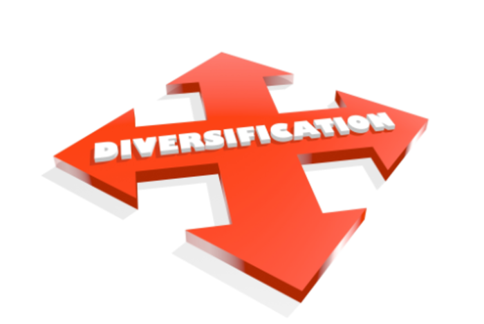 Diversification Feature Image 2.png